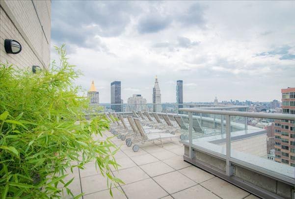 Roof Top