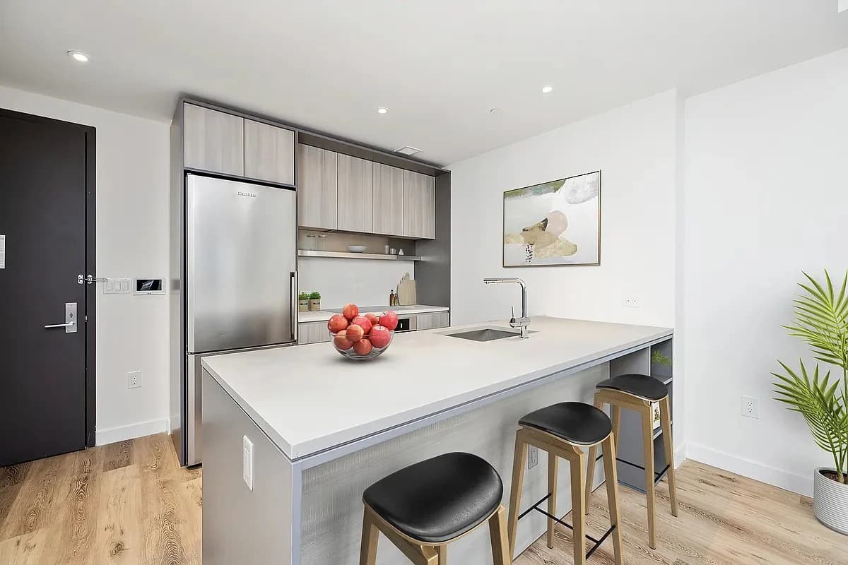 1 bed apartment at 171 Chrystie Street, Unit 6A, Lower East Side, photo 3 of 6
